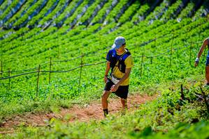 BIB: 
                            <button type="button" onclick="openModal(19163522)" class="btn btn-primary btn-sm float-right btn-popup" data-toggle="modal" data-target=".modal-high-quality">
                        <i class="fas fa-shopping-cart"></i> Add to Cart
                    </button>
                                            <button type="button" onclick="isThisMe(19163522, true)" class="btn btn-success btn-sm float-right btn-popup btn-isme hidden" data-toggle="tooltip" data-placement="bottom" title="นี่คือรูปของคุณใช่ไหม คลิกที่นี่เพื่อเอาเข้าอัลบั้ม">
                        <i class="fas fa-plus"></i> Add to album
                    </button>
                    <button type="button" onclick="isThisMe(19163522, false)" class="btn btn-warning btn-sm float-right btn-popup btn-isnotme hidden">
                        <i class="fas fa-ban"></i> Remove from album
                    </button>